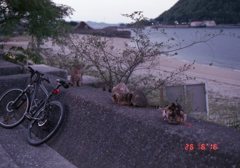 Eos5 Film にて　10月ごろ