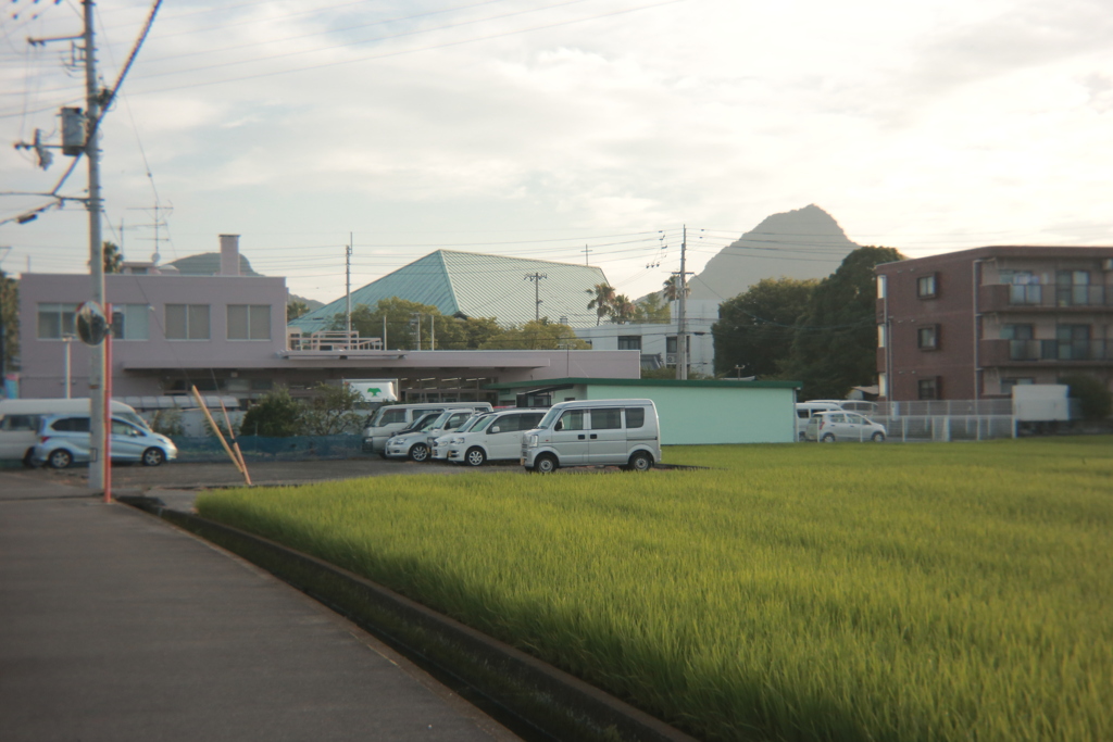 朝＠2020‐08‐11