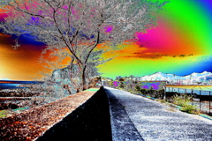 芸術は爆発だ!(^^)!