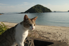 @2019-06-12
