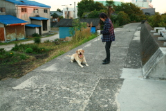 伏せをしてるサーブ