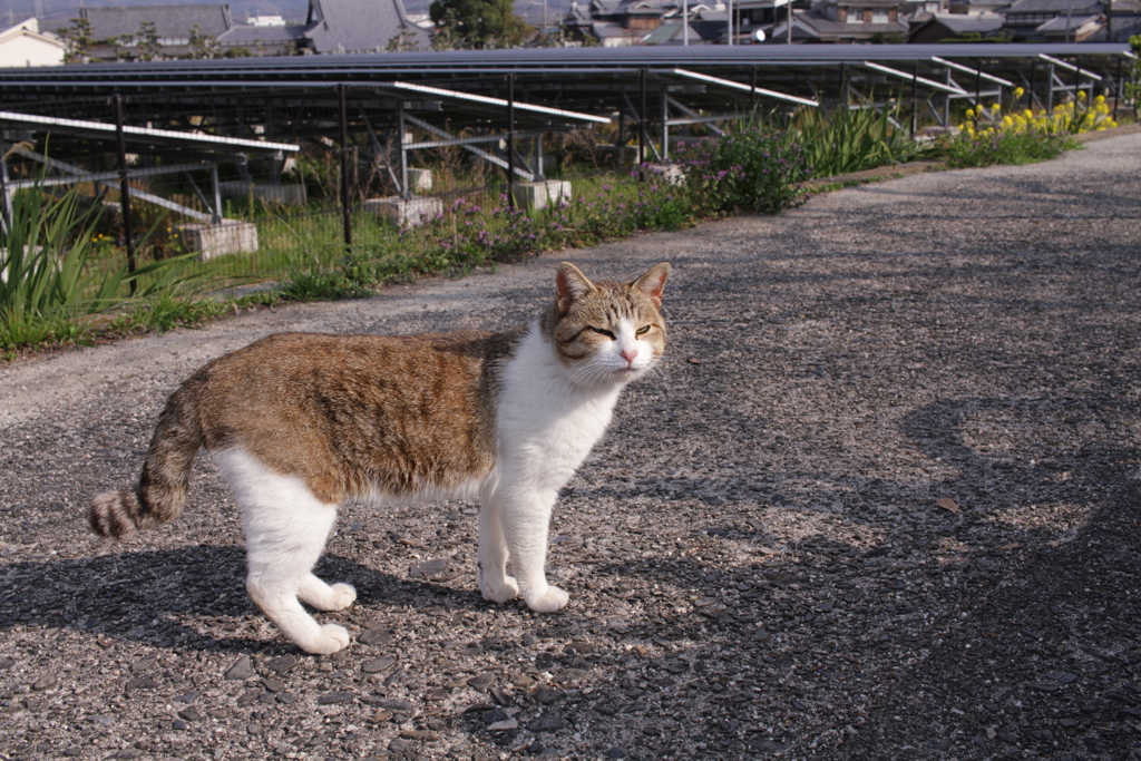 あったかい＠2019-03-21