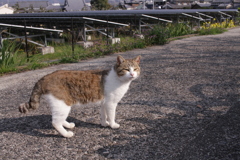 あったかい＠2019-03-21