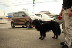 昨日の写真カラー