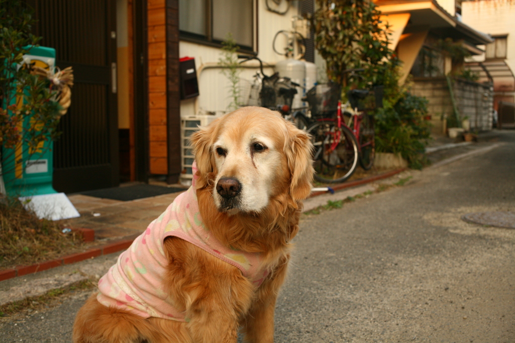 ＠2020‐01‐03