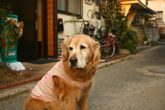 ＠2020‐01‐03