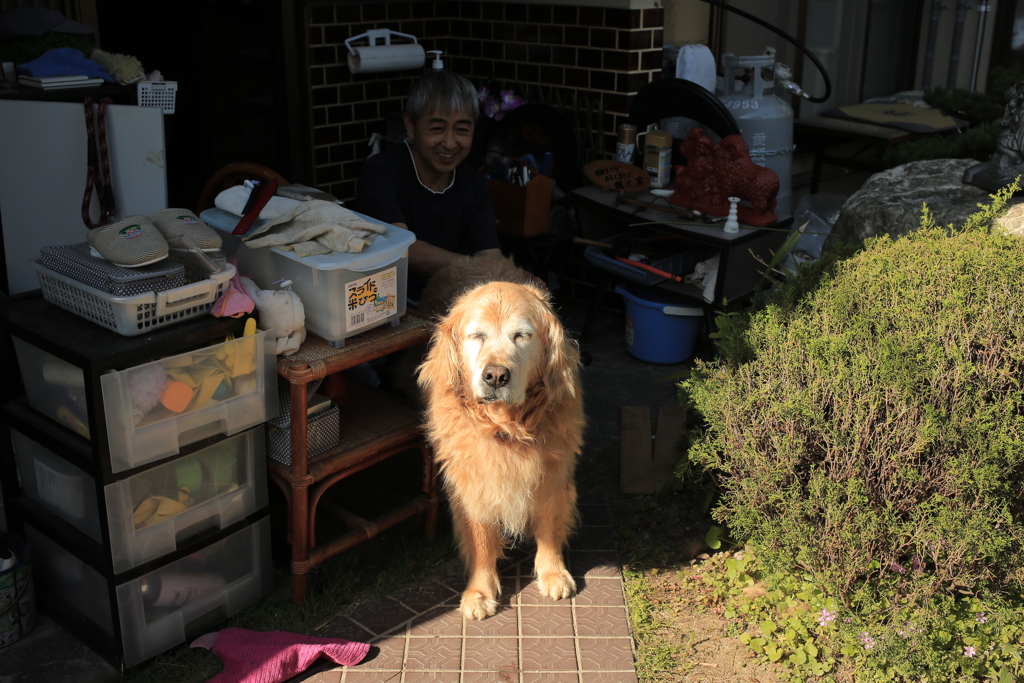 Eos6D，新しめのカメラだから写すのらくちん