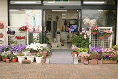 お店番してるココさん