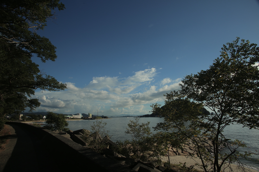 20‐35㎜『ゴンタ君』にて