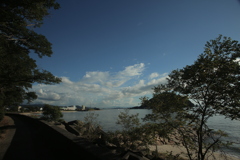 20‐35㎜『ゴンタ君』にて