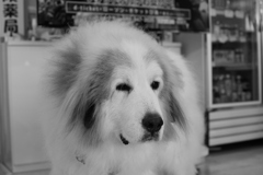 @2020‐01‐21