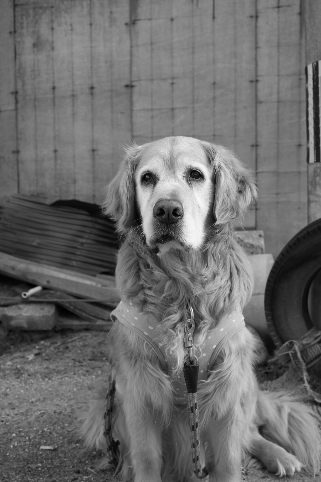 @2018-03-14 あったかい