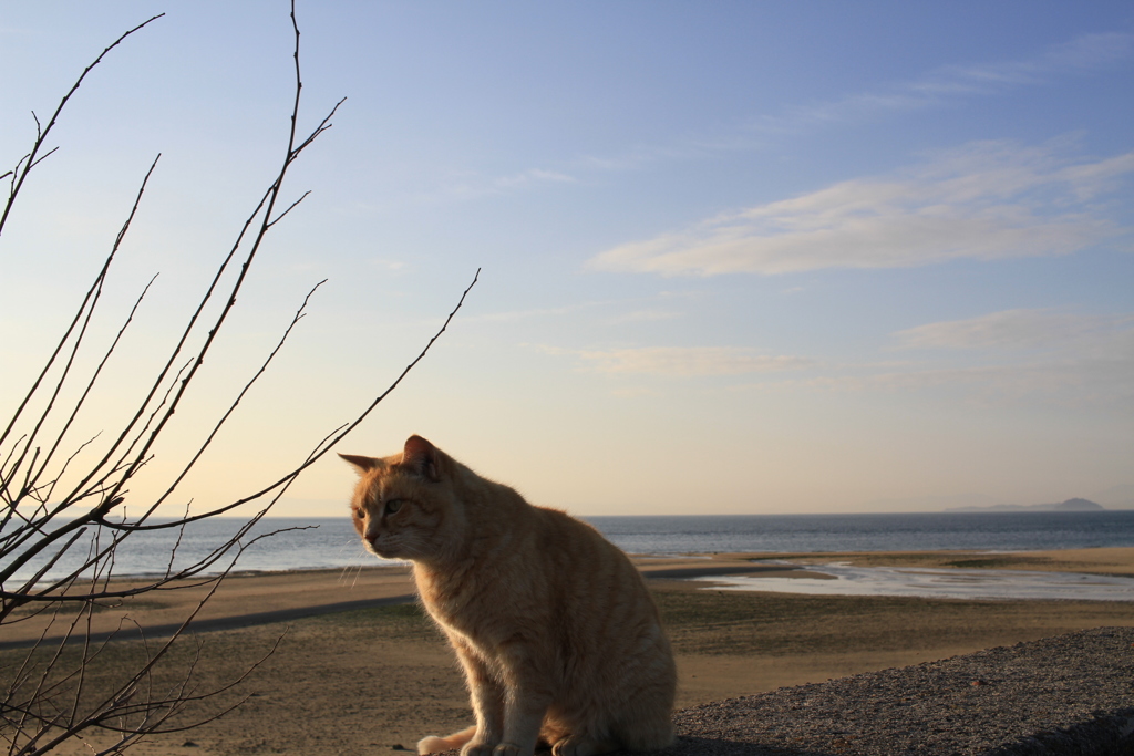 あったかい＠2018-03-04