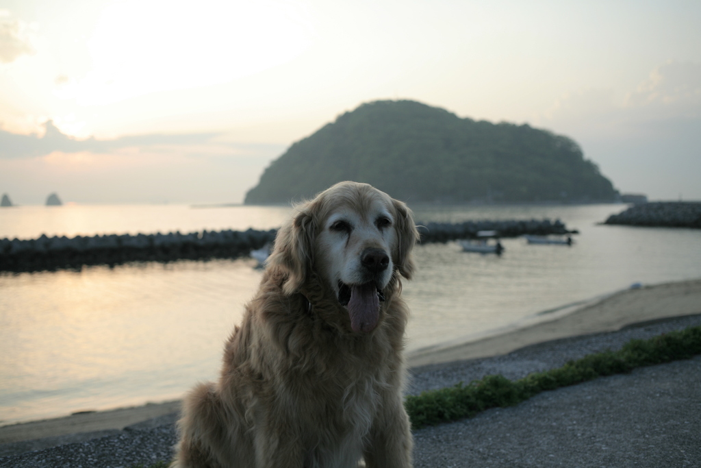 今日もみゅうちゃんと散歩