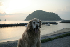 今日もみゅうちゃんと散歩