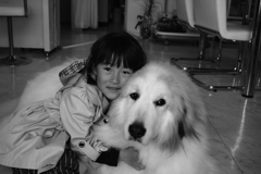 写真の女の子いろはちゃんって言うらしい