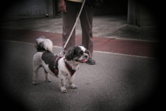 ホルガトイレンズにて