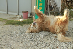 ＠2021‐04‐22