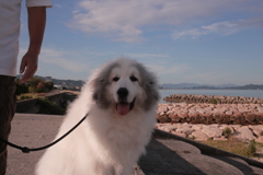 ホカホカのココさん