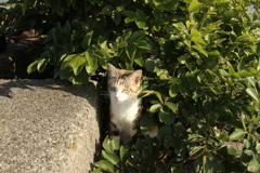 @2019-06-12