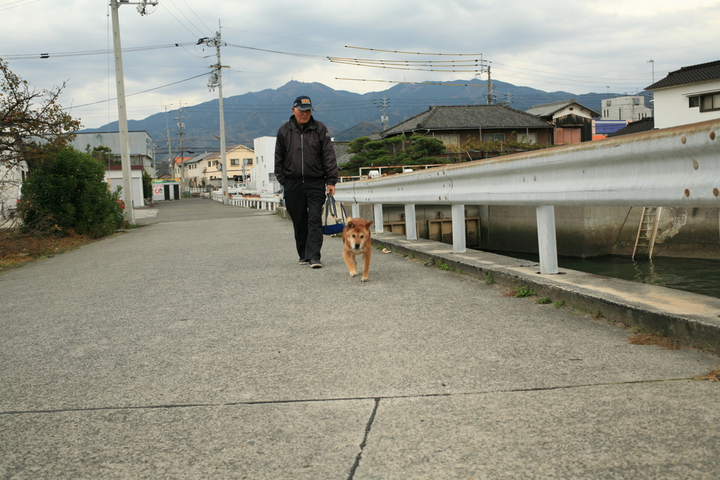 会長さんと散歩するモクちゃん