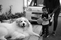 このおじさん何してんだろう？？