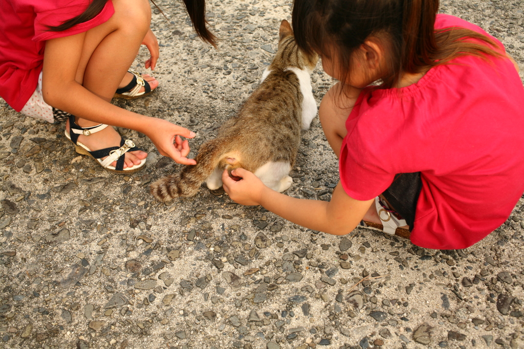 玉いじり　!(^^)!