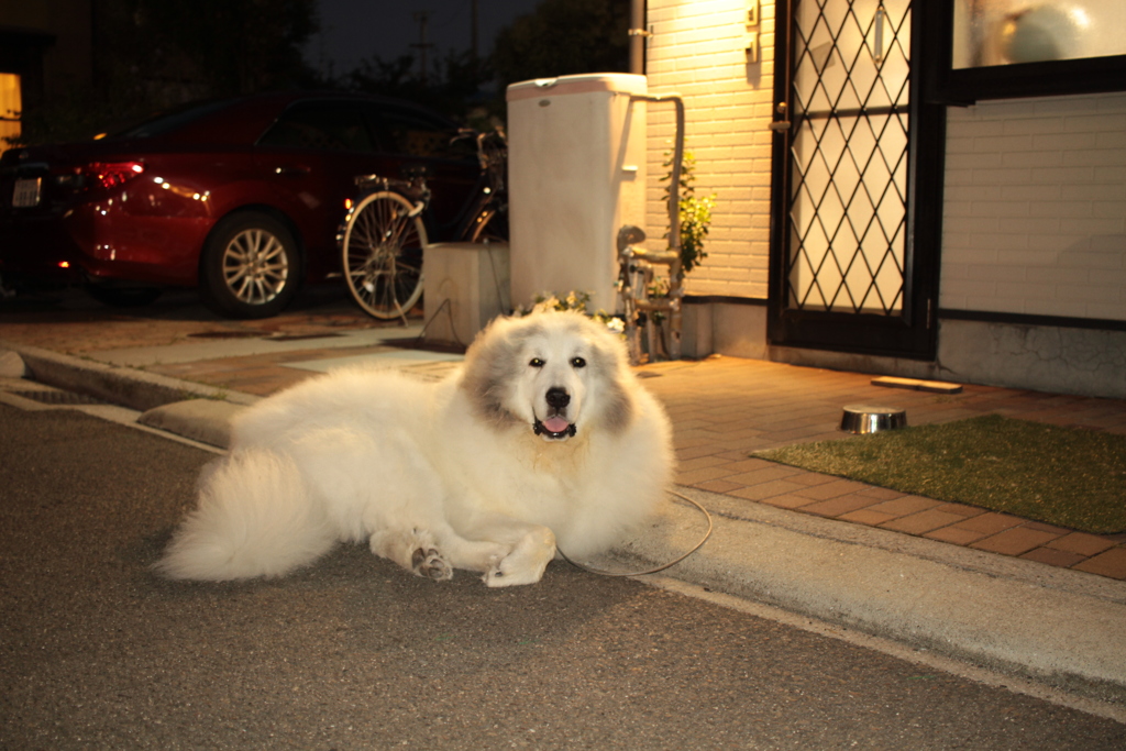 @2017-09-14 GUにパンツ買いに行く