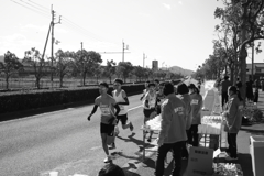 愛媛マラソン2020