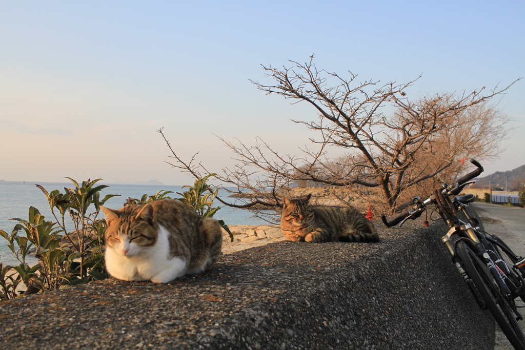 @2018-02-09 けっこうあったかい