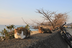 @2018-02-09 けっこうあったかい