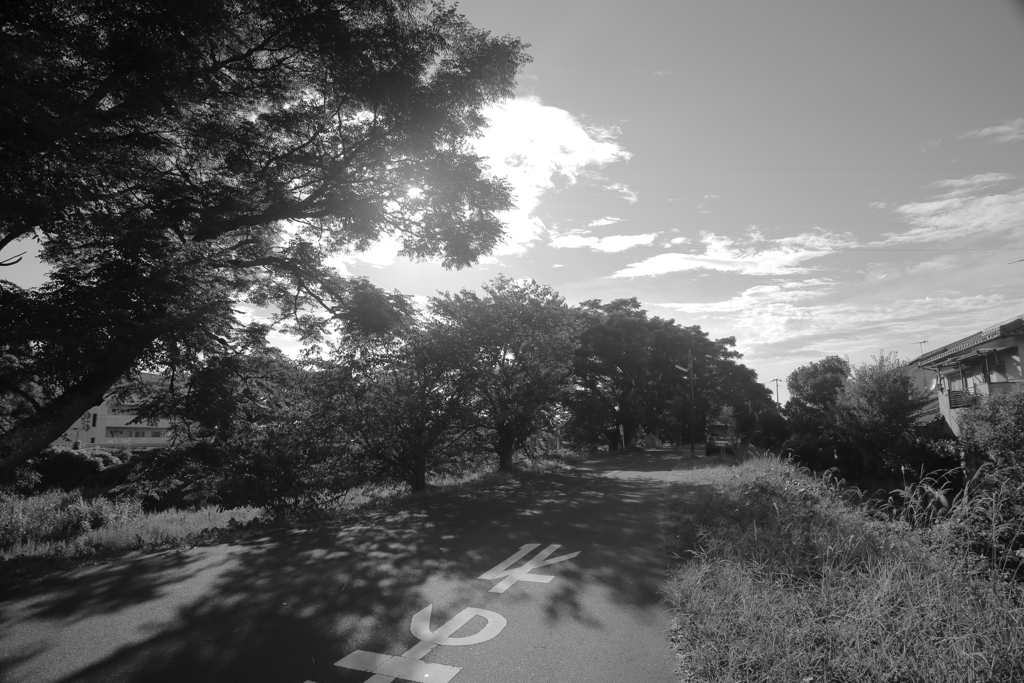 自画自賛ですけど、写してる！って思える一枚