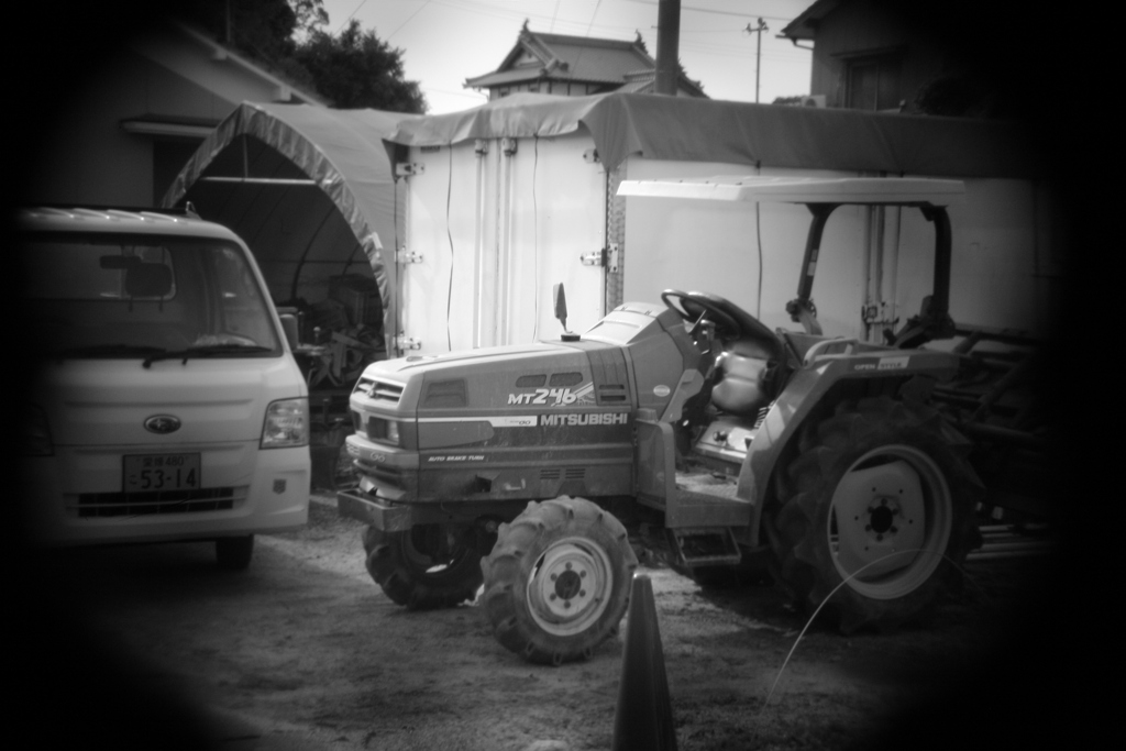 shot by Holga toy lens