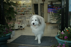 ＠2021‐08‐03