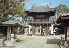 書道用の筆でスキャン前に埃払ったらきれいに取り込める