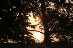 ええかっこしいの写真