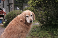 今日も元気なみゅうちゃん