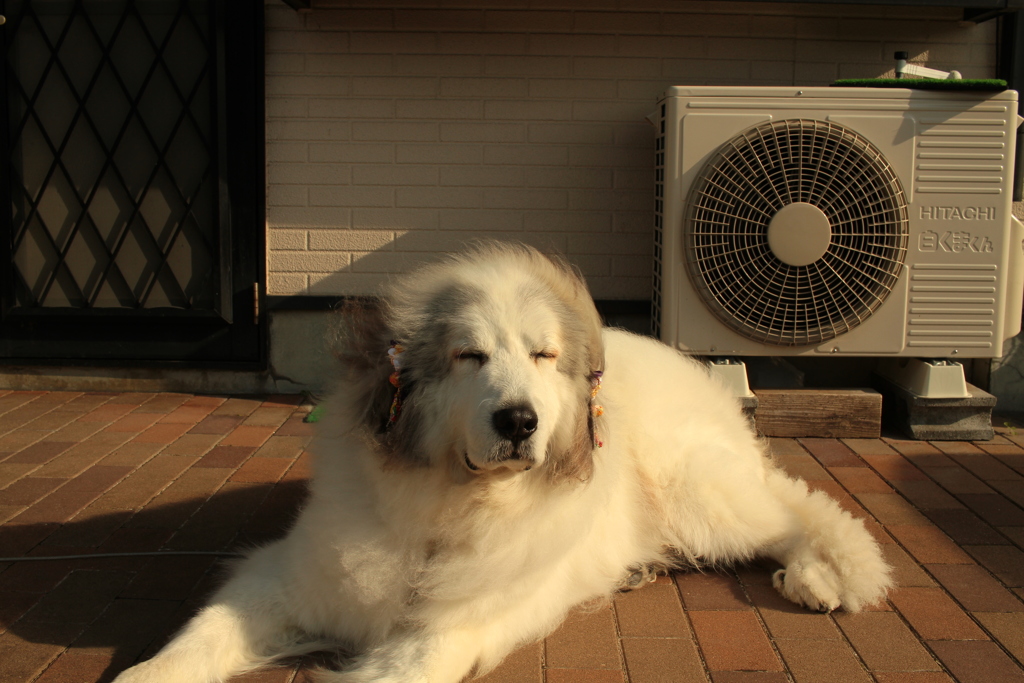 本格的に寒い＠2018-01-11