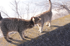 ラブラブ愛してる