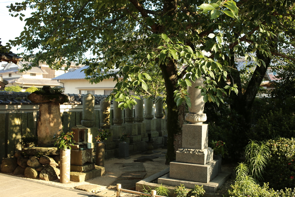 法然寺（ほうねんじ）にて