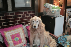 今日も元気なみゅうちゃん 今日も元気なみゅうちゃん