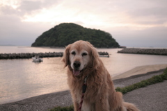 今日もみゅうちゃんと散歩