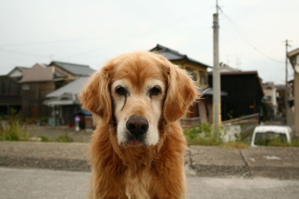 おやつが欲しいみゅうちゃん