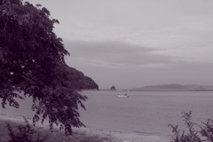 道端に小さな花が咲いている　それを幸せと感じたい