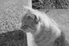 2017-02-13 夕　５