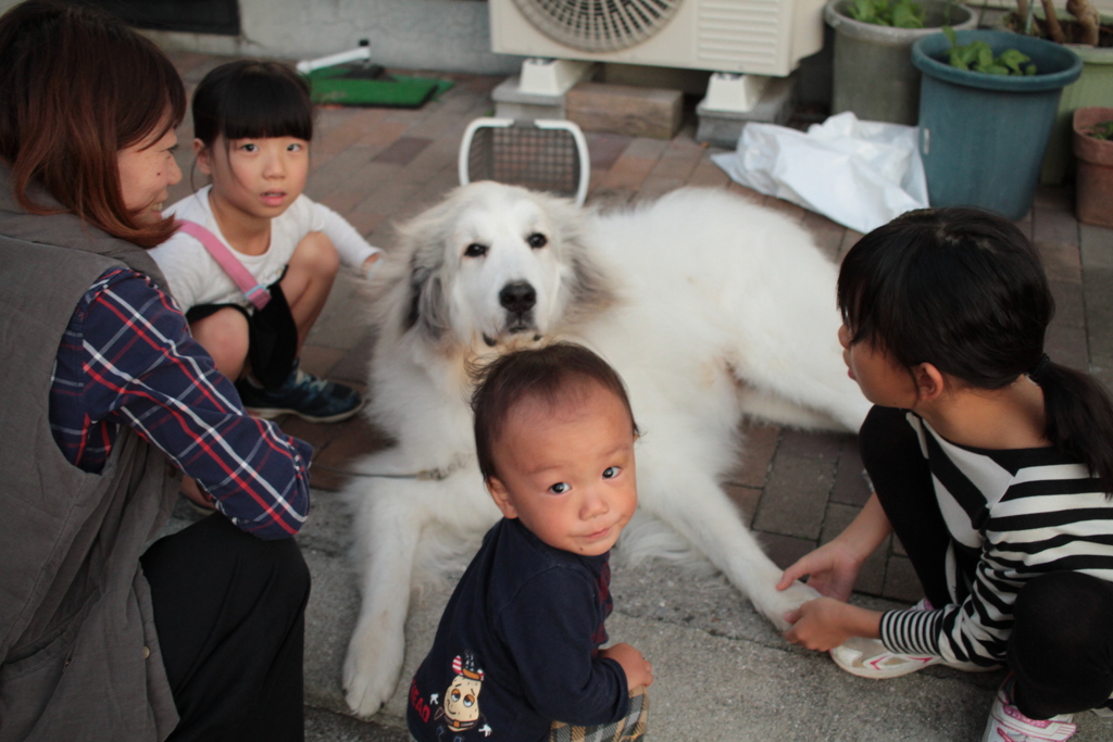 今日もモテモテのココちゃん