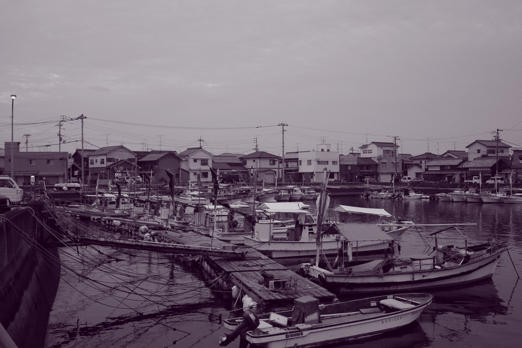 朝＠2020‐08‐03