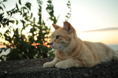 ＠2017-09-01