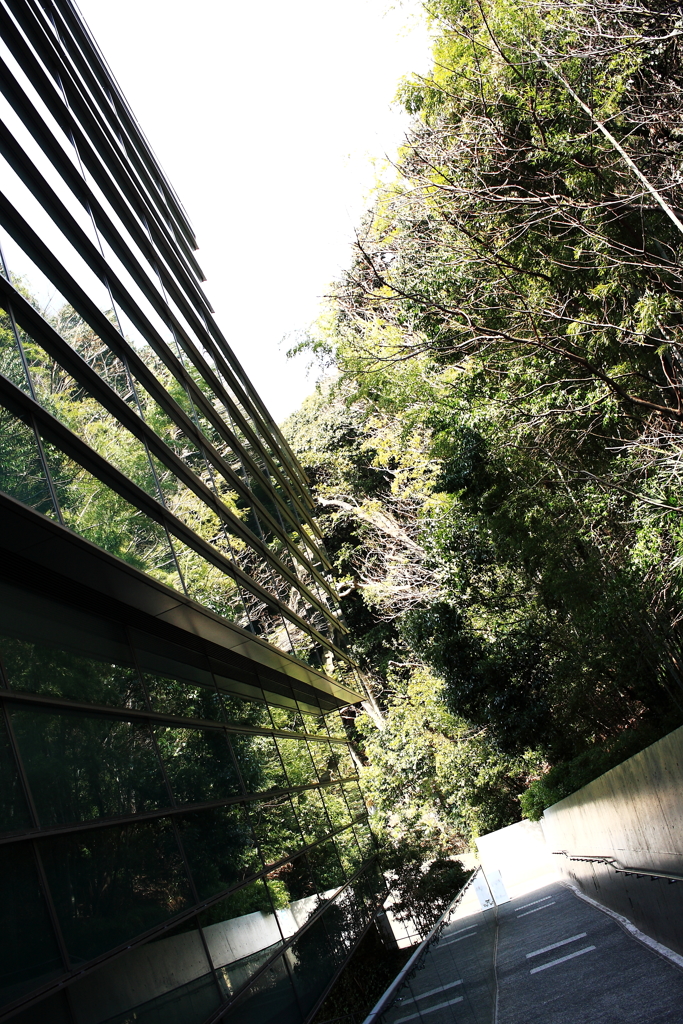 通院日で松山へ行く