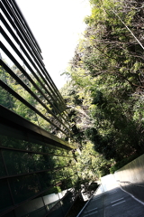 通院日で松山へ行く